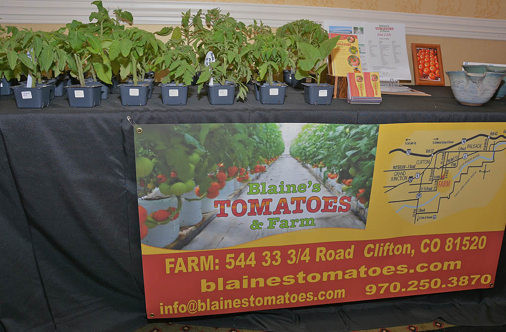 Blaines-Tomatoes